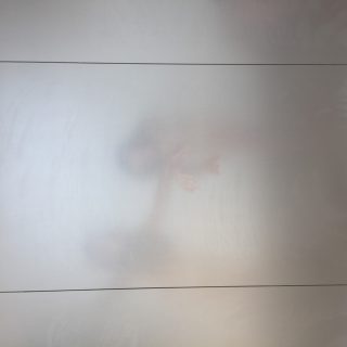 FRAMING REALITY - DRESDEN FRANKFURT DANCE COMPANY - Jacopo Godani - by  Raffaele