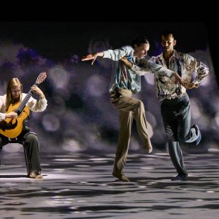 PREMONITIONS OF A LARGER PLAN - DRESDEN FRANKFURT DANCE COMPANY - Jacopo Godani