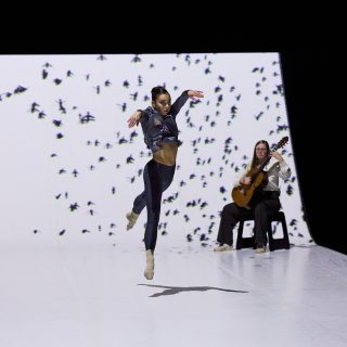 PREMONITIONS OF A LARGER PLAN - DRESDEN FRANKFURT DANCE COMPANY - Jacopo Godani