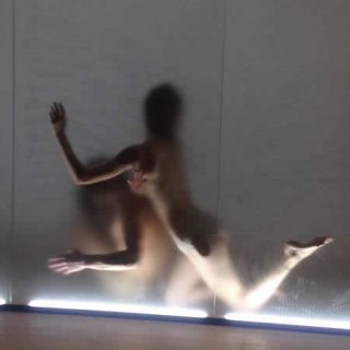 FRAMING REALITY - DRESDEN FRANKFURT DANCE COMPANY - Jacopo Godani - by  Dora Jung